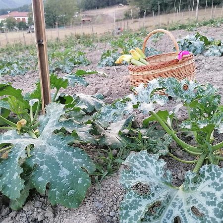 Agriturismo Dei Legi Villa San Pietro Vara Dış mekan fotoğraf