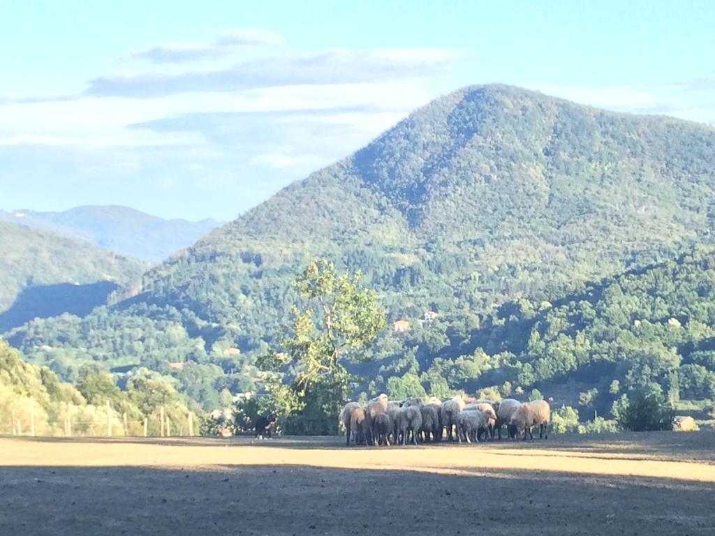 Agriturismo Dei Legi Villa San Pietro Vara Dış mekan fotoğraf