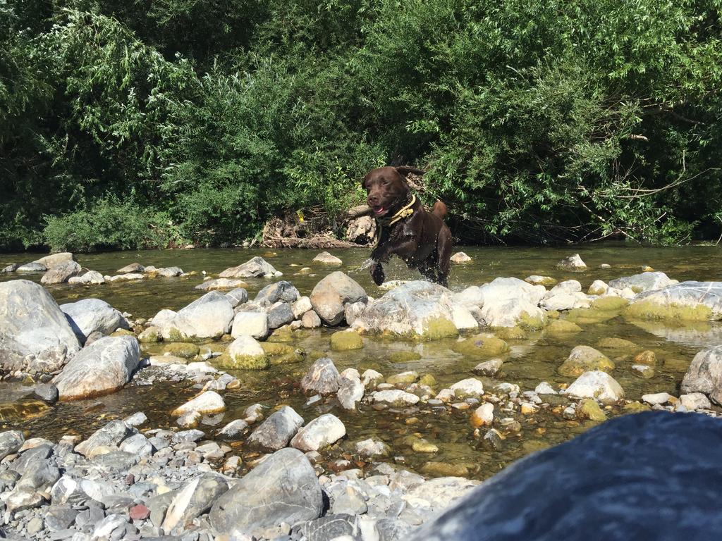 Agriturismo Dei Legi San Pietro Vara Dış mekan fotoğraf