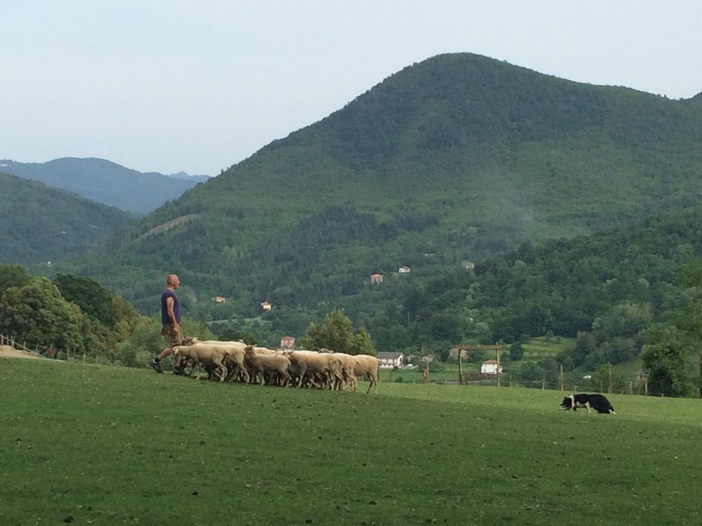 Agriturismo Dei Legi Villa San Pietro Vara Dış mekan fotoğraf