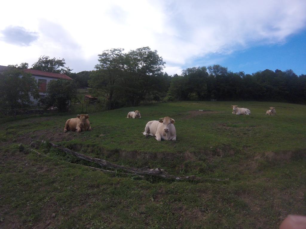 Agriturismo Dei Legi Villa San Pietro Vara Dış mekan fotoğraf