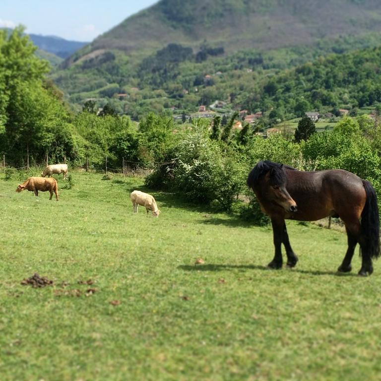 Agriturismo Dei Legi Villa San Pietro Vara Dış mekan fotoğraf