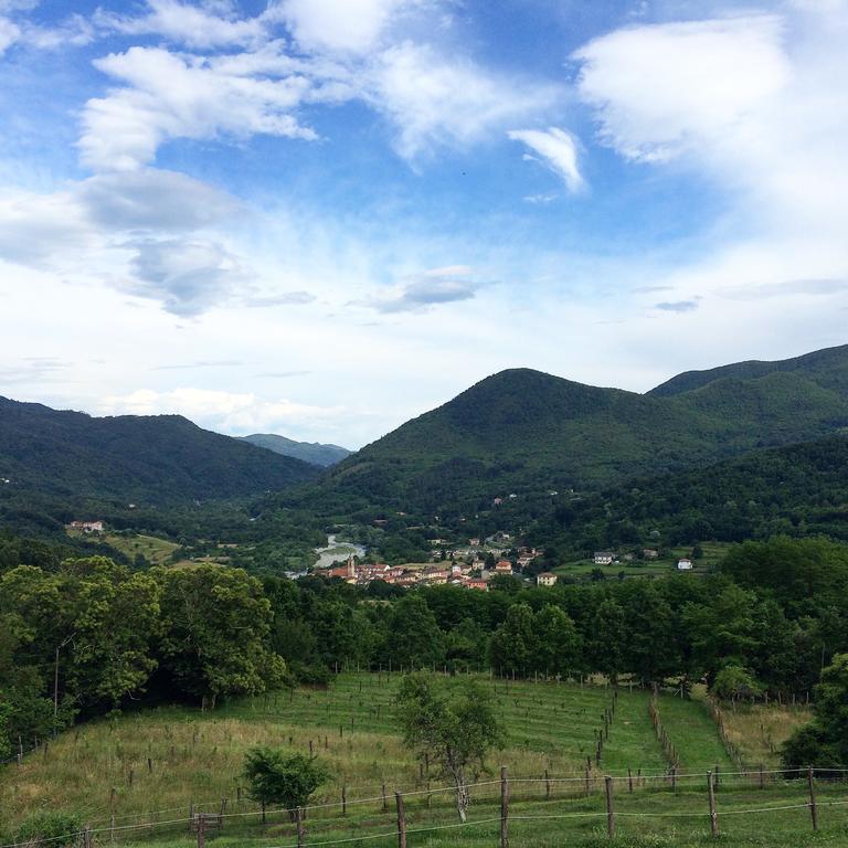 Agriturismo Dei Legi Villa San Pietro Vara Dış mekan fotoğraf