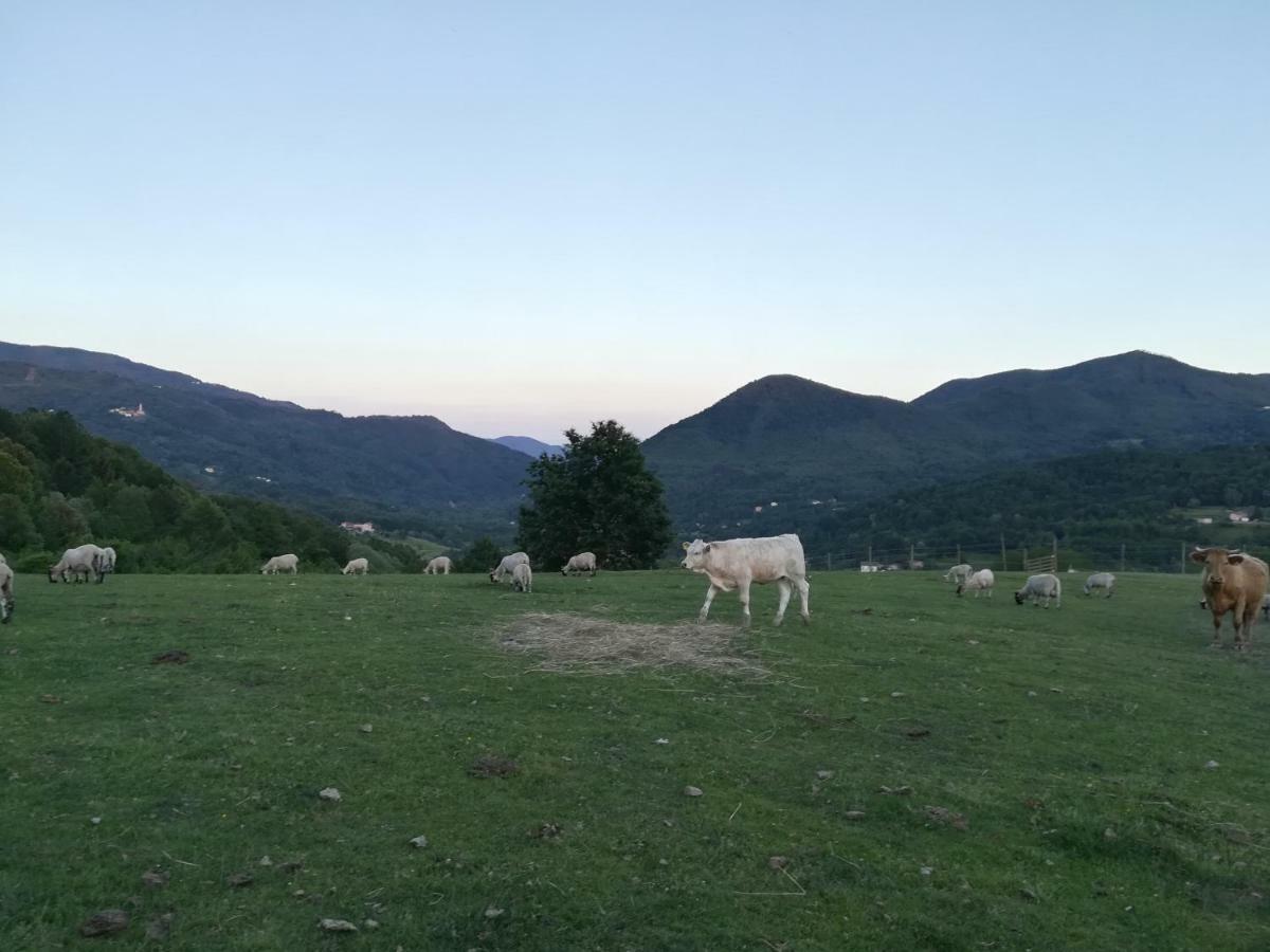 Agriturismo Dei Legi Villa San Pietro Vara Dış mekan fotoğraf