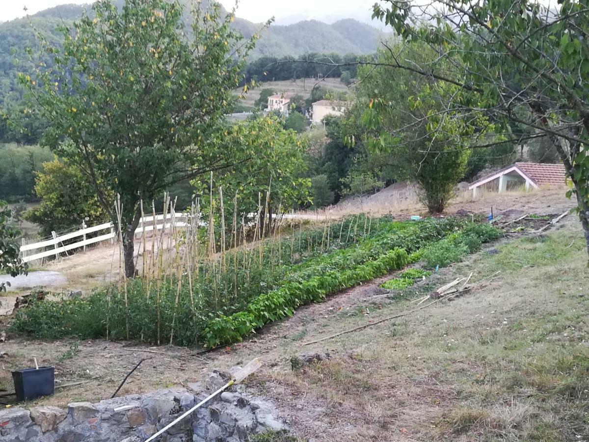 Agriturismo Dei Legi Villa San Pietro Vara Dış mekan fotoğraf