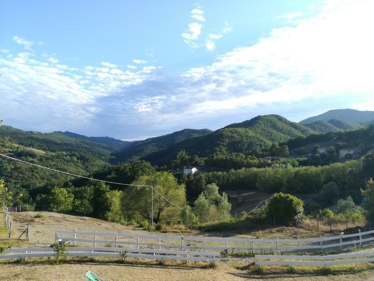 Agriturismo Dei Legi Villa San Pietro Vara Dış mekan fotoğraf