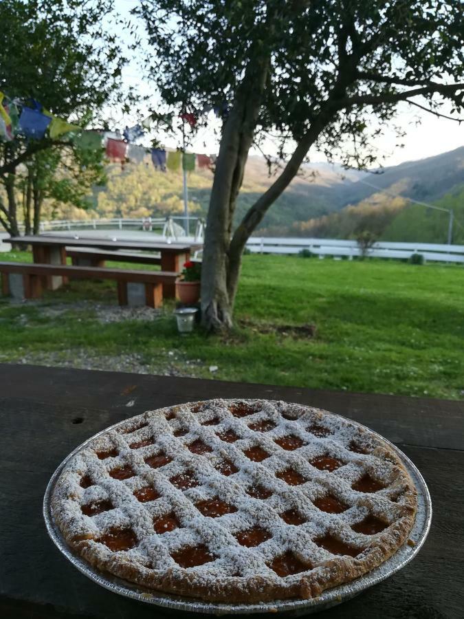 Agriturismo Dei Legi Villa San Pietro Vara Dış mekan fotoğraf