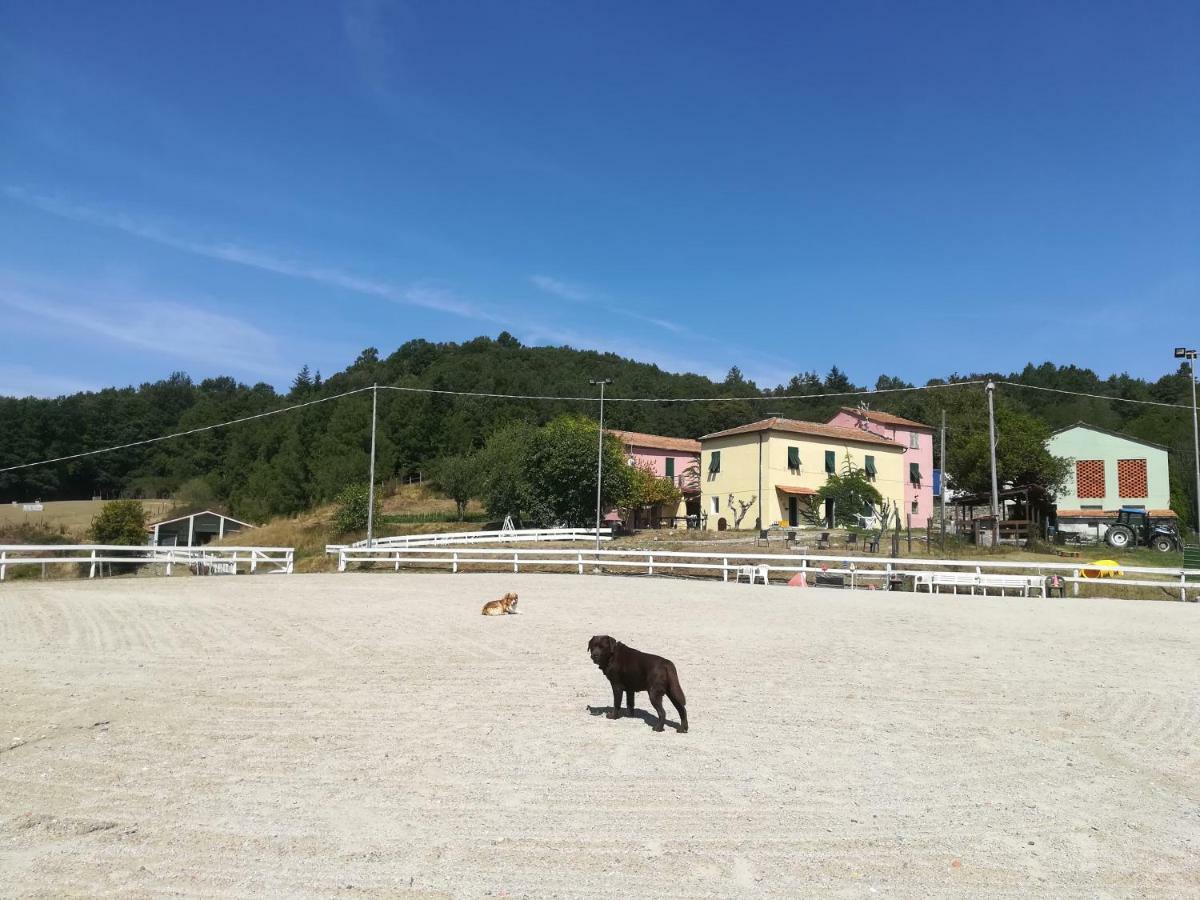 Agriturismo Dei Legi Villa San Pietro Vara Dış mekan fotoğraf